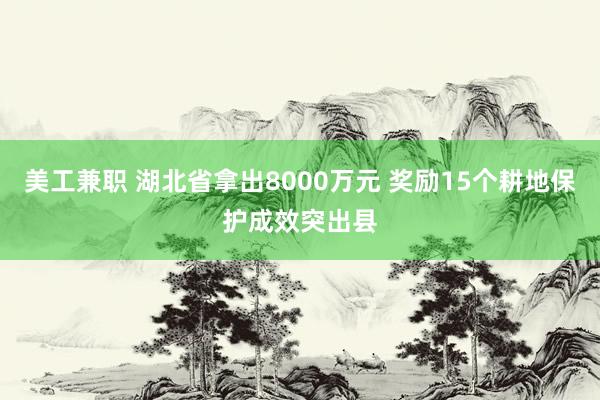 美工兼职 湖北省拿出8000万元 奖励15个耕地保护成效突出县