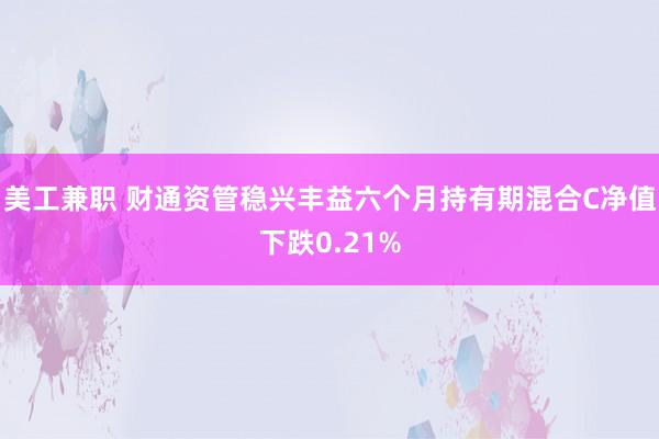 美工兼职 财通资管稳兴丰益六个月持有期混合C净值下跌0.21%