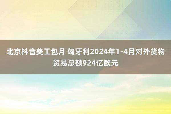 北京抖音美工包月 匈牙利2024年1-4月对外货物贸易总额924亿欧元