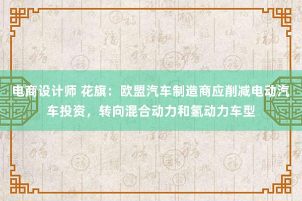 电商设计师 花旗：欧盟汽车制造商应削减电动汽车投资，转向混合动力和氢动力车型