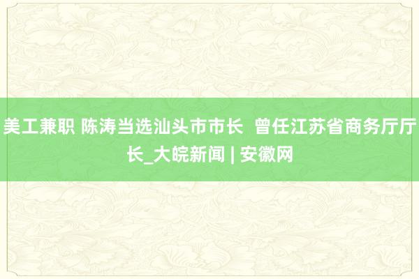 美工兼职 陈涛当选汕头市市长  曾任江苏省商务厅厅长_大皖新闻 | 安徽网